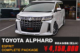TOYOTA ALPHARD ESPRIT COMPLETE PACKAGE